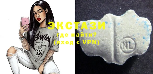 стаф Новодвинск