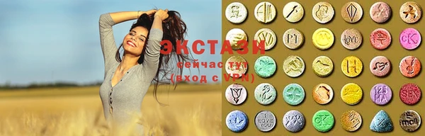 стаф Новодвинск