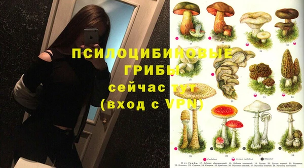 синтетический гашиш Абдулино