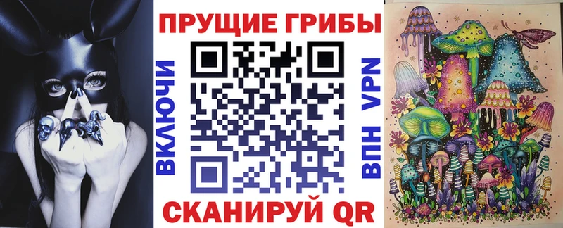дарк нет официальный сайт  Ильский  Галлюциногенные грибы Magic Shrooms  закладка 